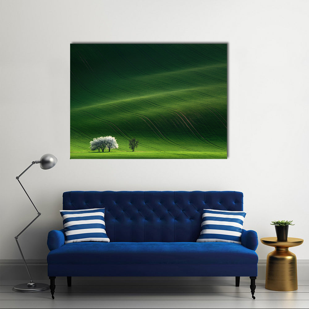 Moravian Green Rolling In Czech Republic Canvas Wall Art