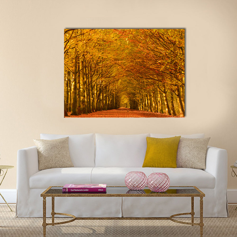 Autumn Forest Lane Canvas Wall Art