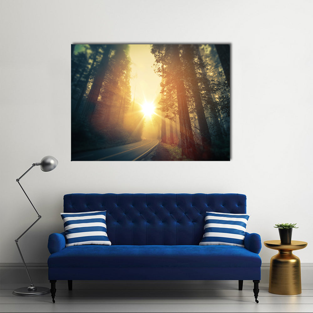 Foggy Redwood Forest Road Canvas Wall Art