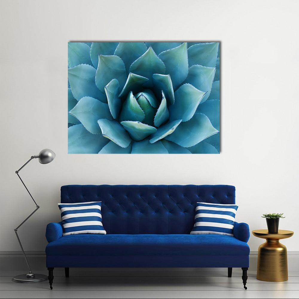 Closeup Of An Agave Plant Canvas Wall Art in green and blue, single panel hung on a wall
