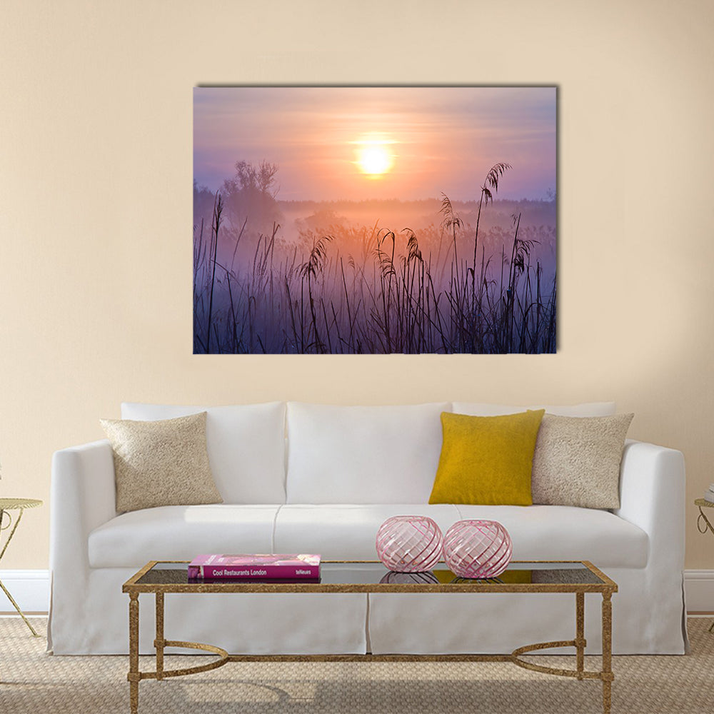Shallow Depth Of Field At Sunset Canvas Wall Art in orange, yellow and purple, single panel hung on a wall