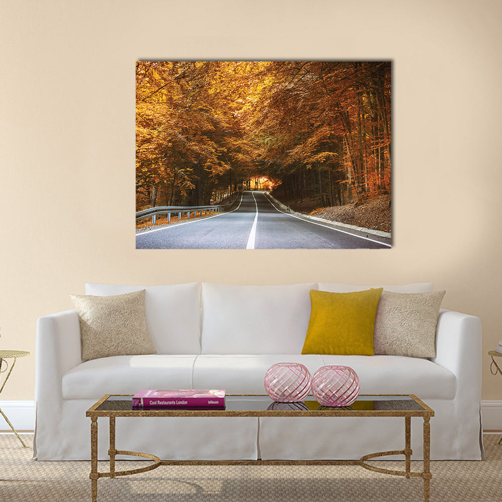 Forest Road in Autumn Canvas Wall Art in brown, orange and yellow, single panel hung on a wall