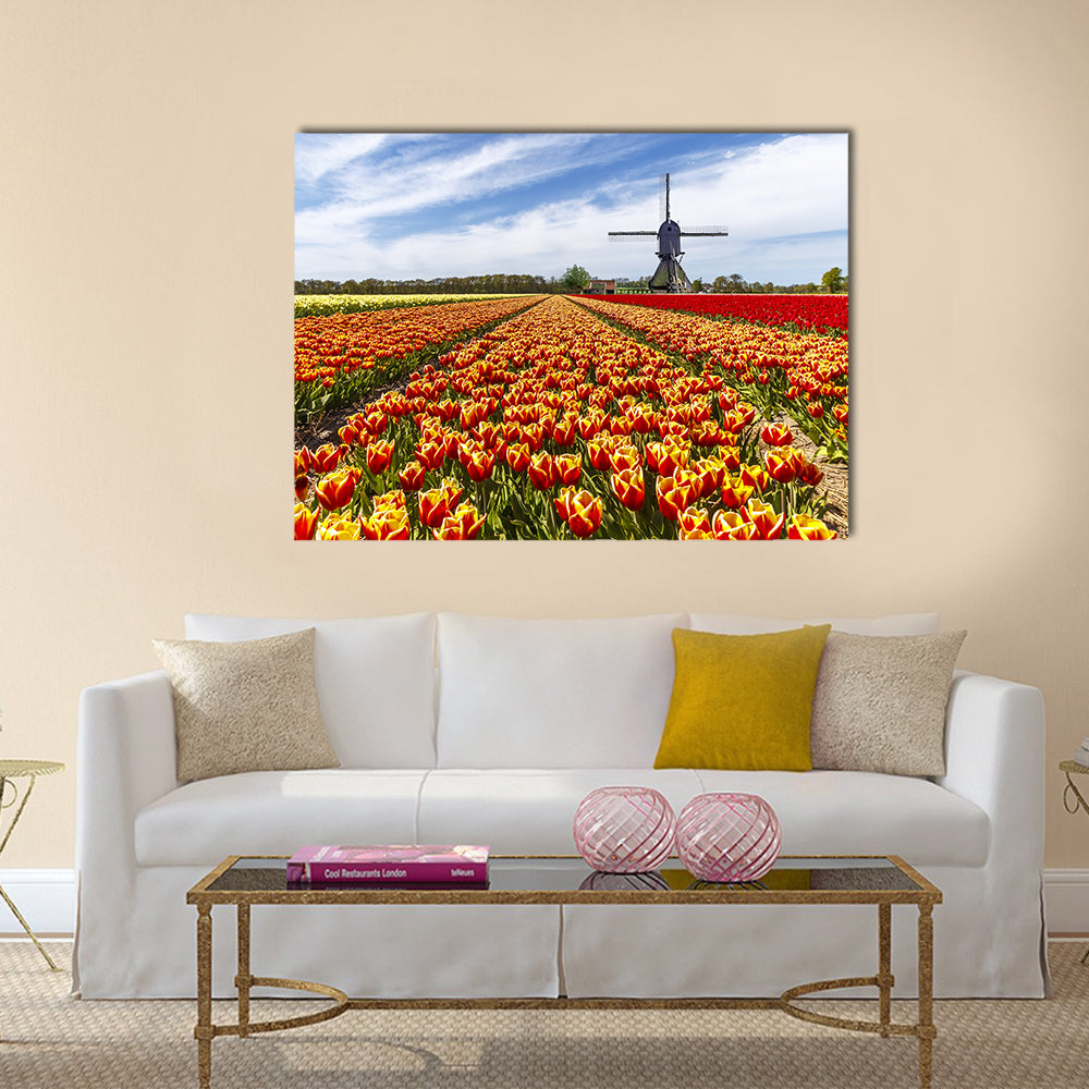 Colorful Tulip Field with Dutch Windmill Canvas Wall Art in red, yellow and multicolor, single panel hung on a wall