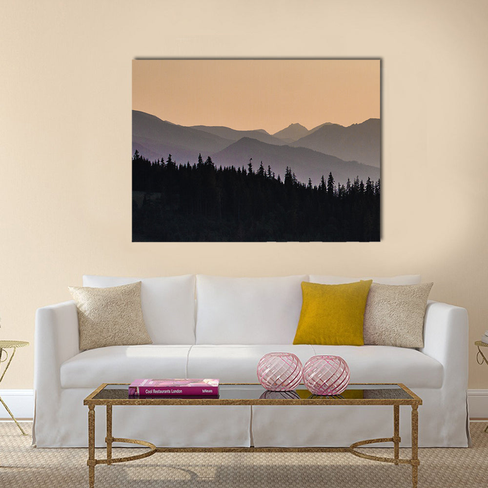 Early Morning Mist On Forest Mountain Canvas Wall Art