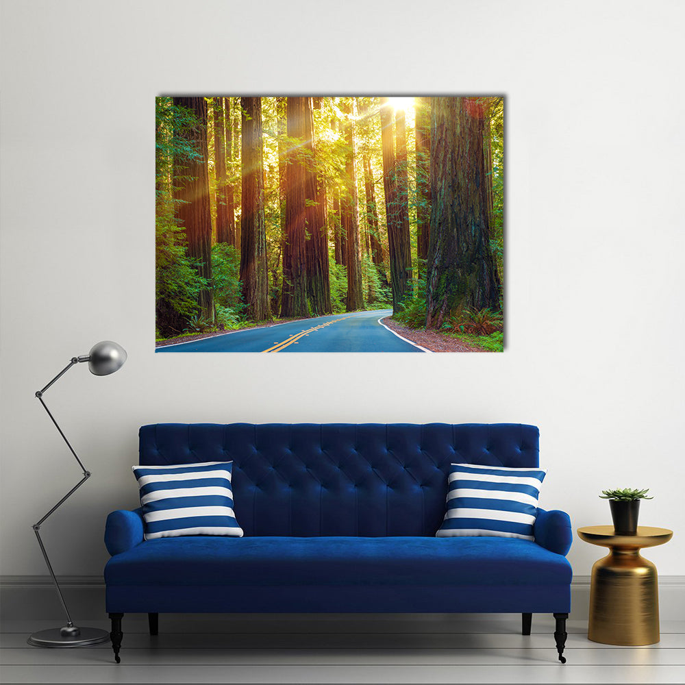 Redwood Highway In Northern California Canvas Wall Art