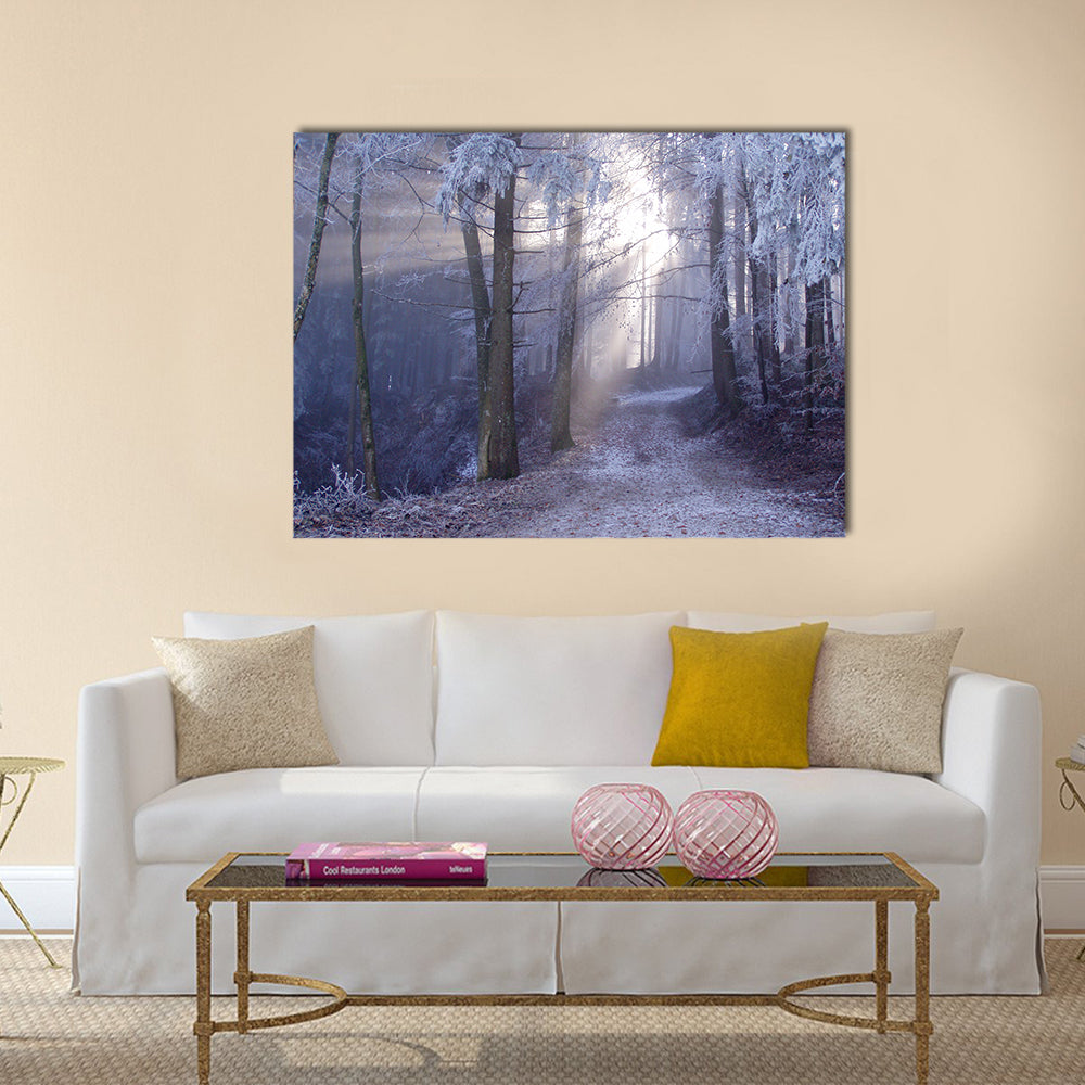 Mystic Forest Track Canvas Wall Art