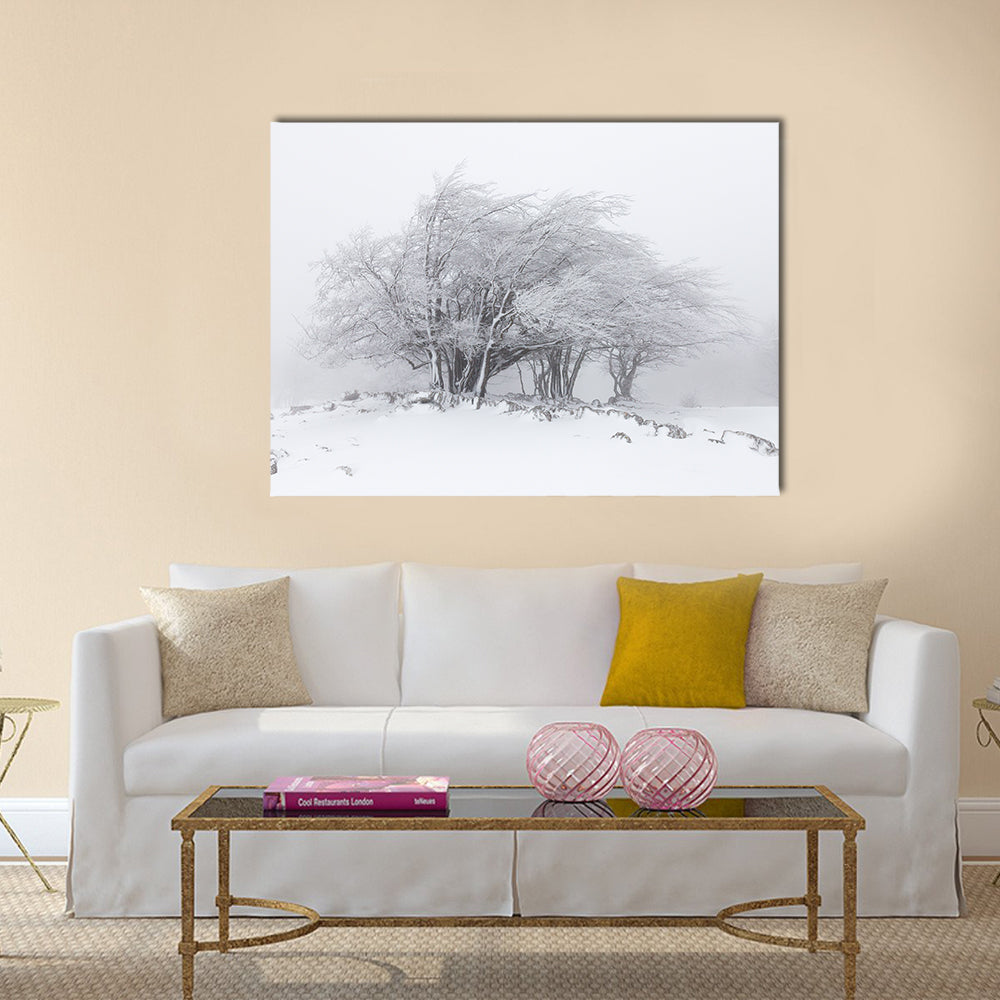 Foggy Winter Landscape In The Forest Canvas Wall Art in black, white and gray, single panel hung on a wall