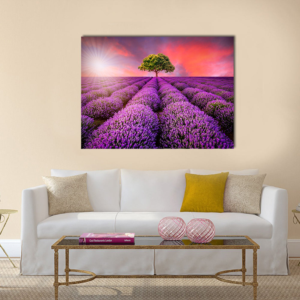 Lavender Field At Sunset Canvas Wall Art