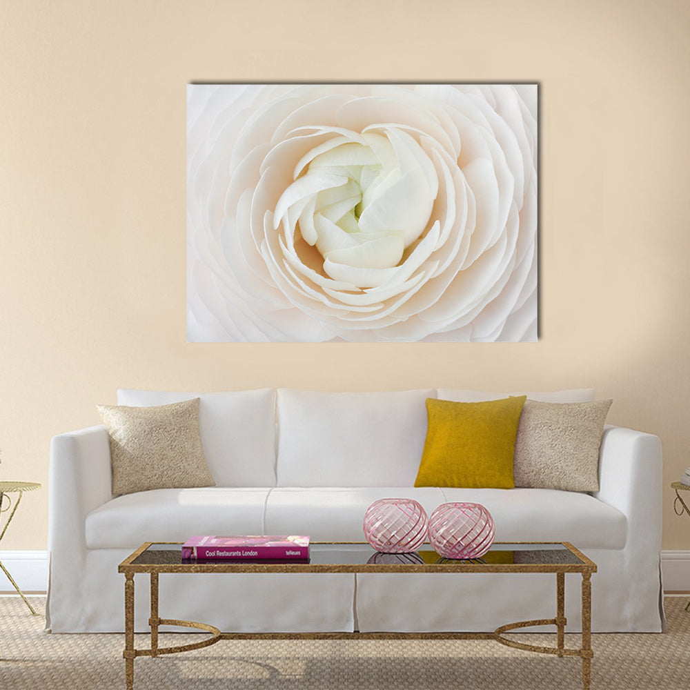Closeup of Ranunculus Flower Canvas Wall Art in white and beige, single panel hung on a wall