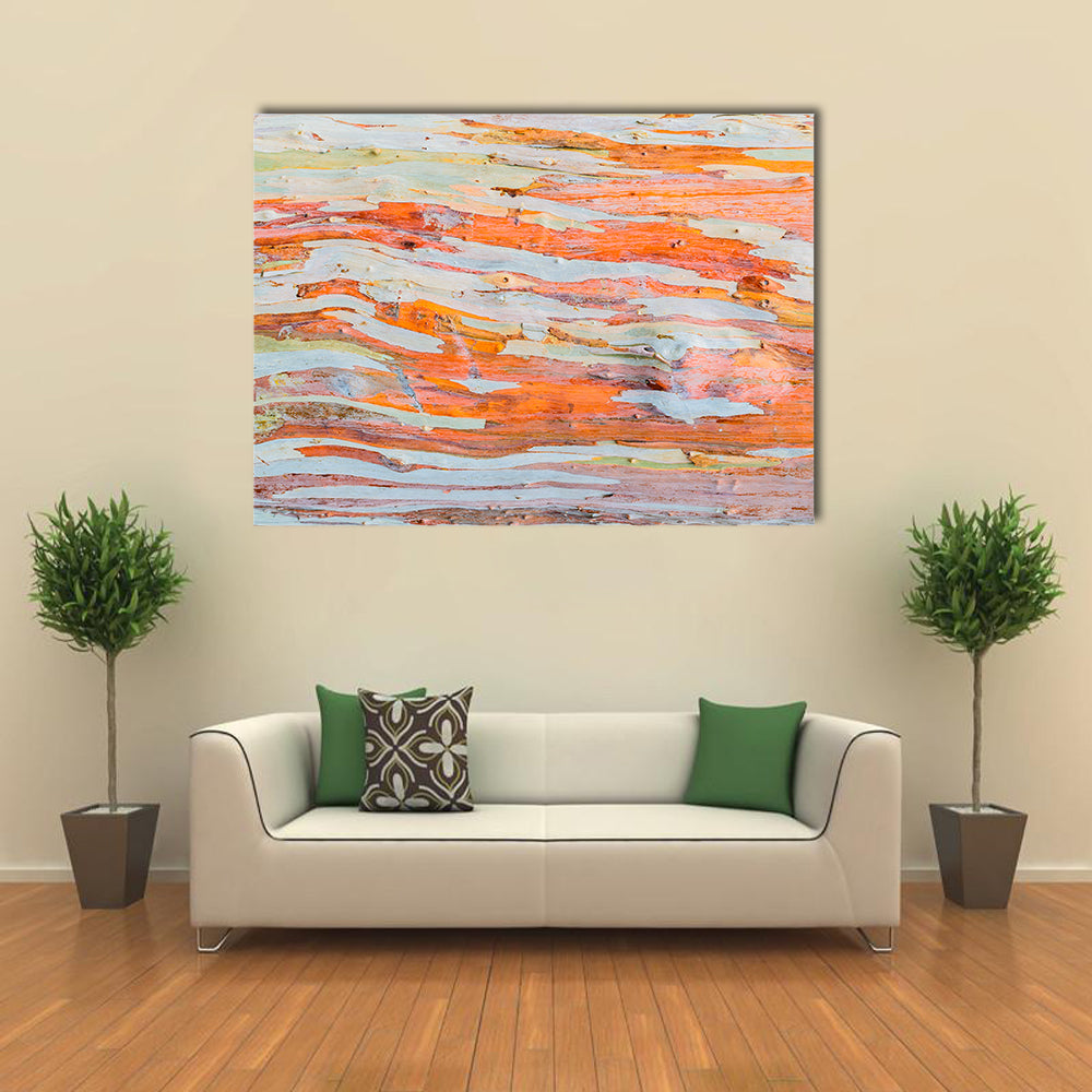 Eucalyptus Tree Bark Canvas Wall Art in gray, orange and multicolor, single panel hung on a wall