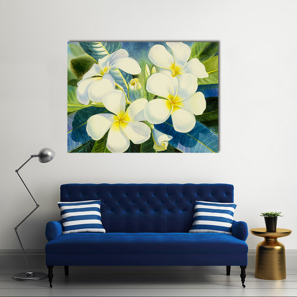 Realistic White Plumeria Close-up Canvas Wall Art