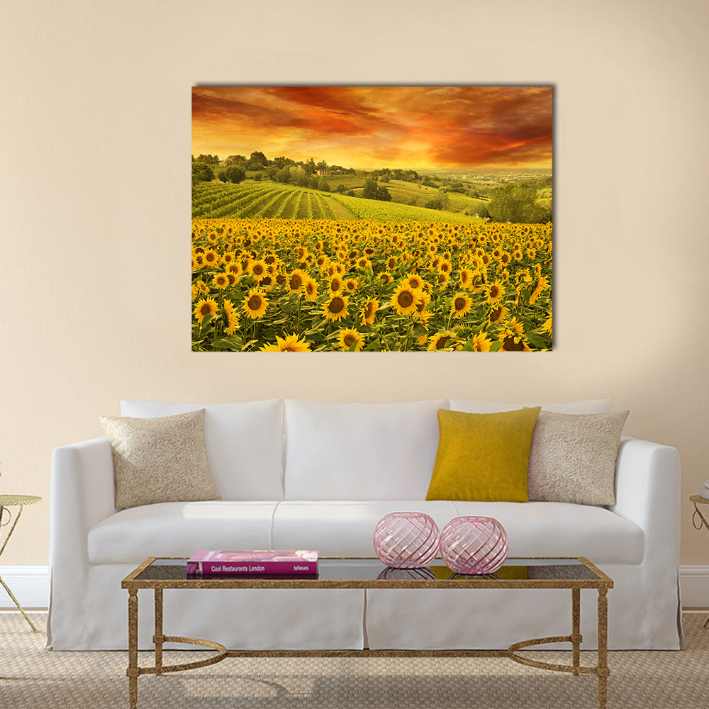 Sunflowers Field In The Italian Hill At Sunset Canvas Wall Art in orange, yellow and green, single panel hung on a wall
