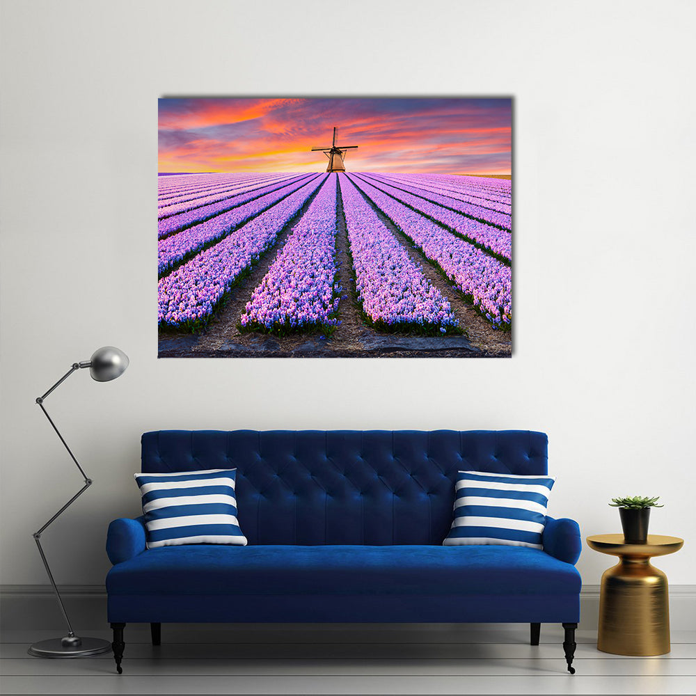 Spring Scene On The Flowers Farm In Netherlands Canvas Wall Art