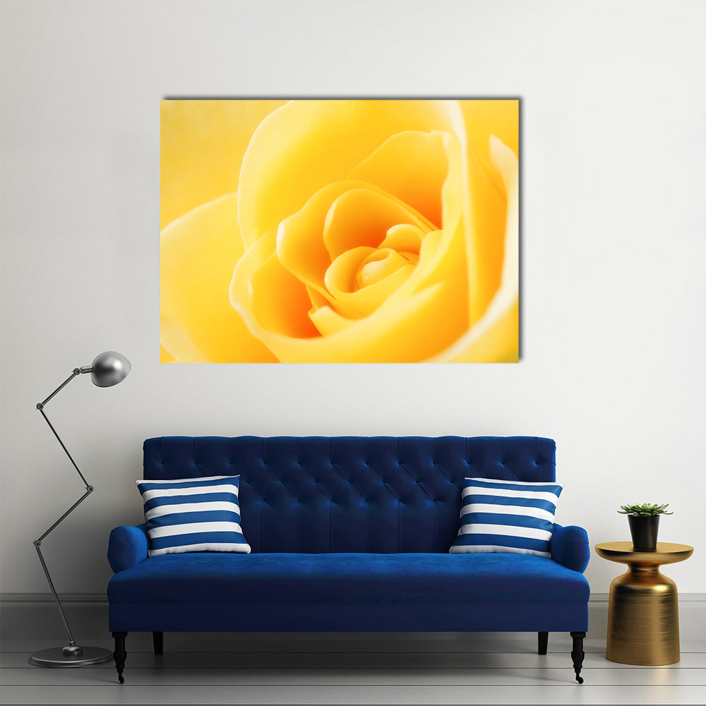 Yellow Rose Close-Up Canvas Wall Art in yellow, single panel hung on a wall