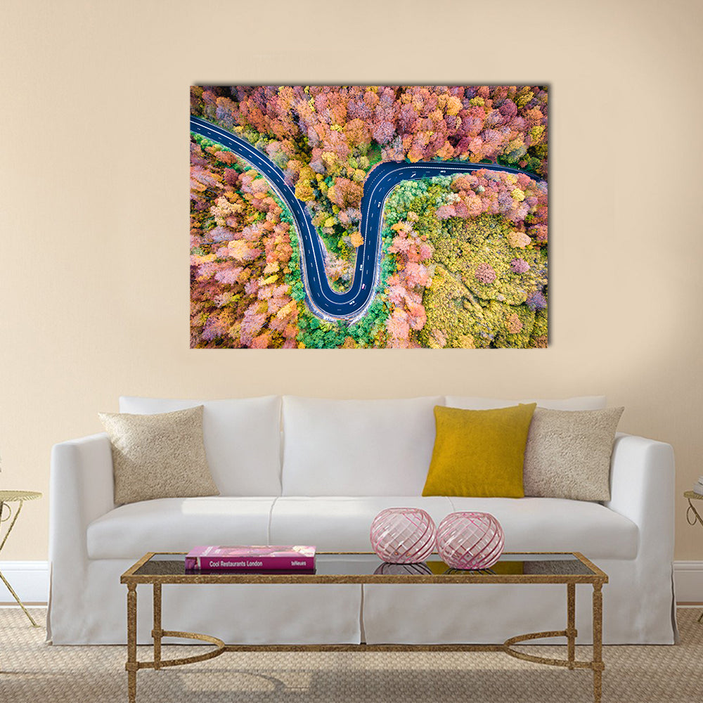 Curved Winding Road Through The Forest Canvas Wall Art