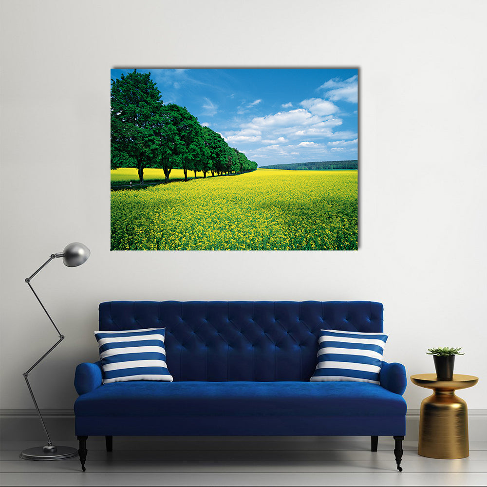 Spring Fields And Allee In Summer Canvas Wall Art