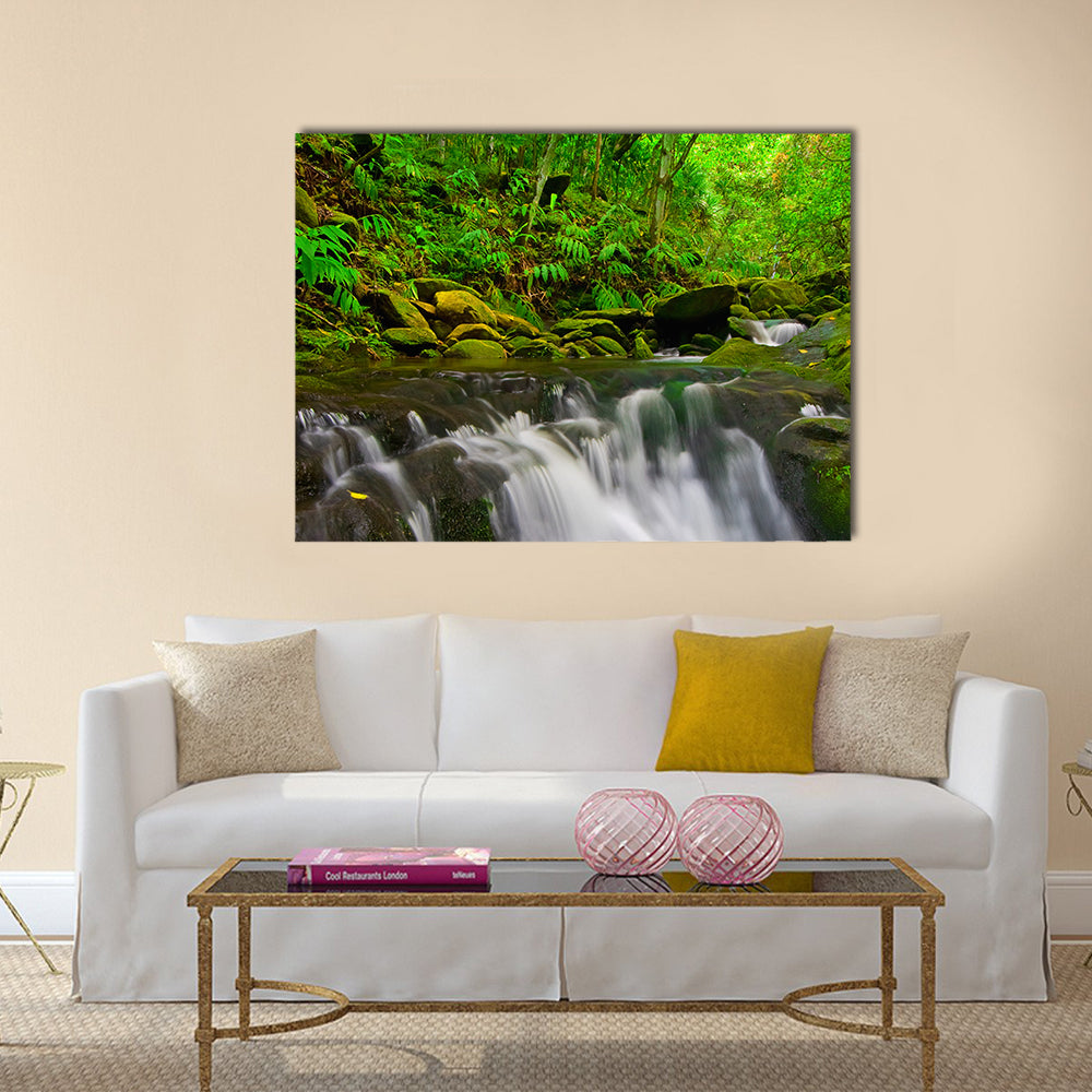 Stream Flowing Through Lush Jungle In Maui Hawaii Canvas Wall Art in white, brown and green, single panel hung on a wall