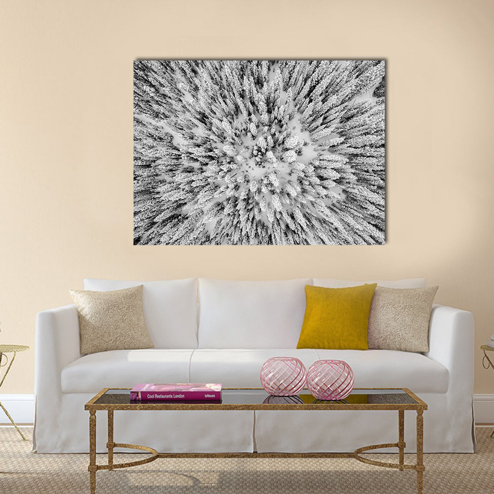 Snow Covered Evergreen Forests In The Colorado Rocky Mountains Canvas Wall Art in black, white and gray, single panel hung on a wall