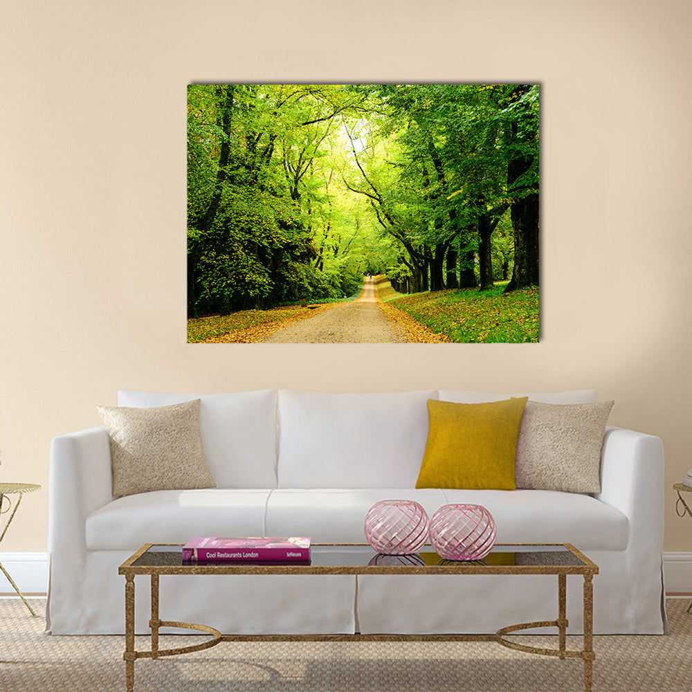 Path In The Forest Woods Canvas Wall Art
