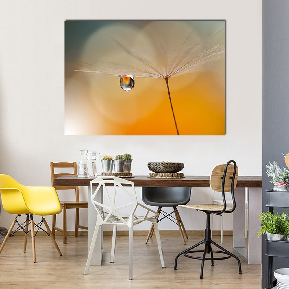 Dandelion Seed with Water Droplet Canvas Wall Art in gray, beige and orange, single panel hung on a wall