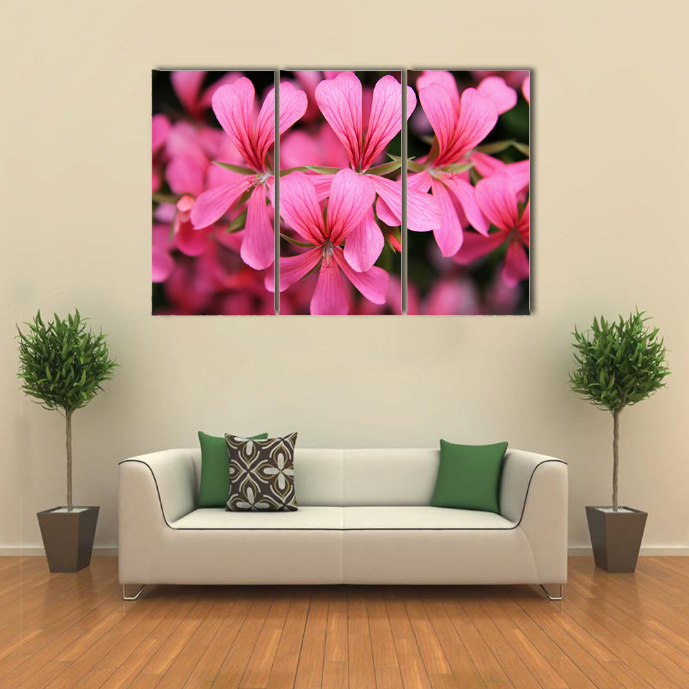 Pink Geranium Cascade Flowers Canvas Wall Art
