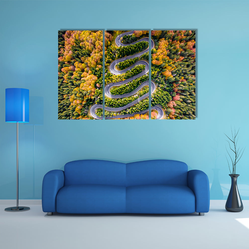 Autumn Winding Road In The Forest Canvas Wall Art