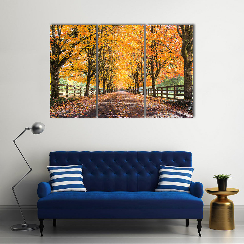 Autumn Tree Tunnel with Golden Leaves Canvas Wall Art