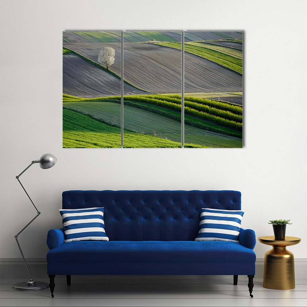 Wavy Fields In Poland Canvas Wall Art