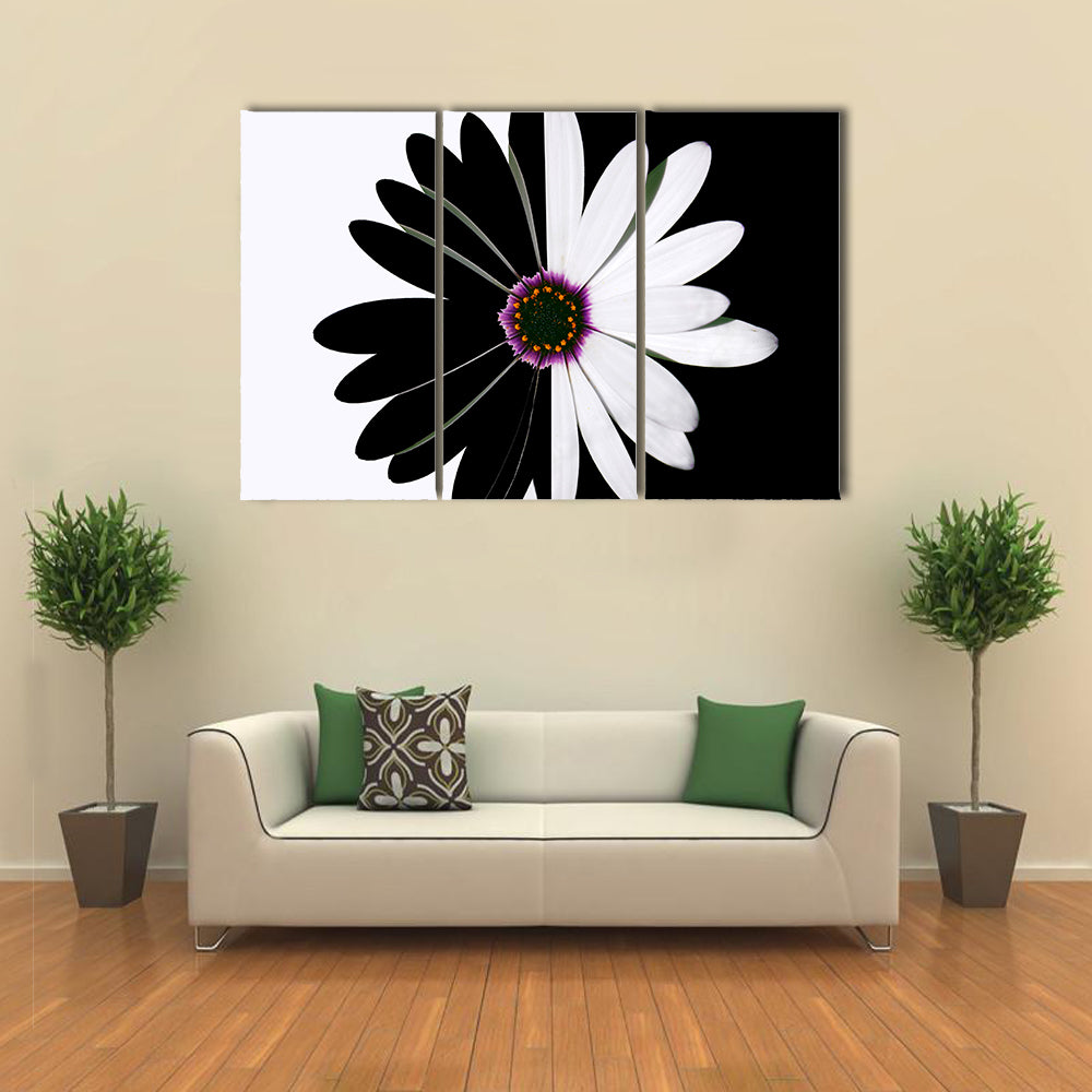 Black And White Flower Canvas Wall Art