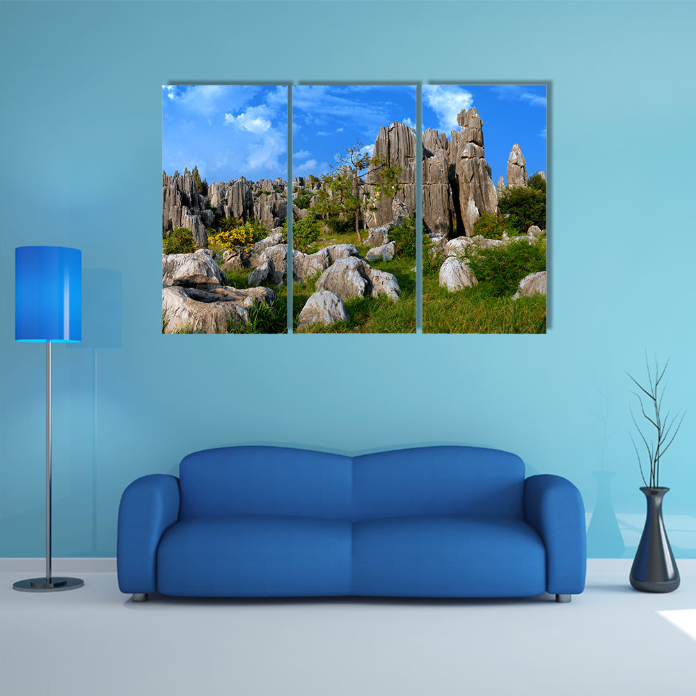 Stone Forest In Yunnan China Canvas Wall Art