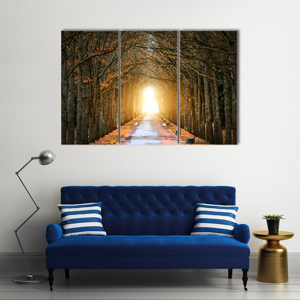 Autumn Tree Tunnel with Benches Canvas Wall Art
