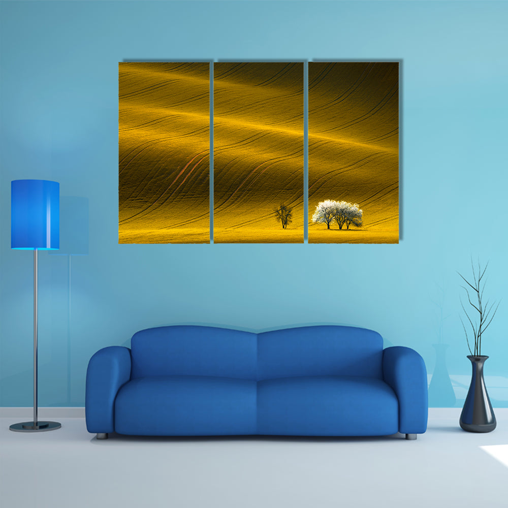 Spring Wavy Yellow Rapeseed Field Canvas Wall Art