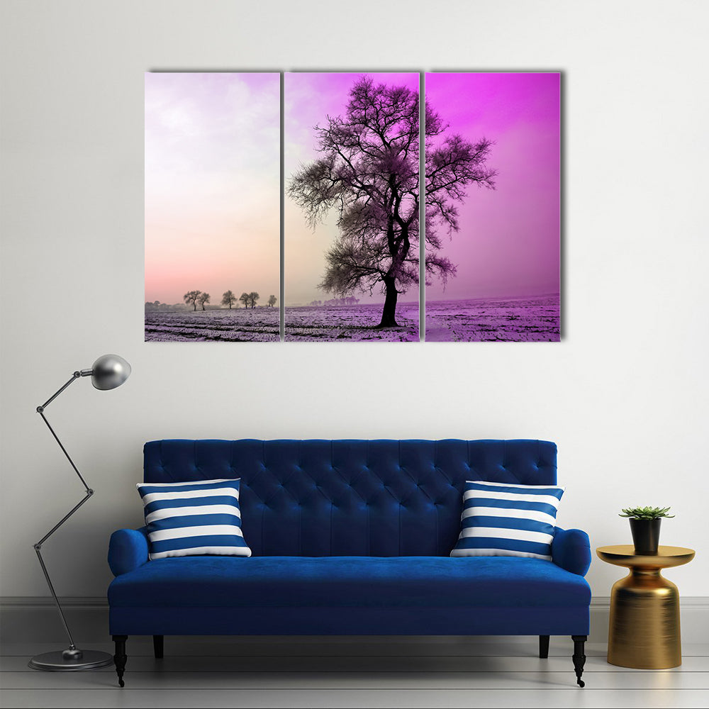 Winter Landscape In Morning Canvas Wall Art
