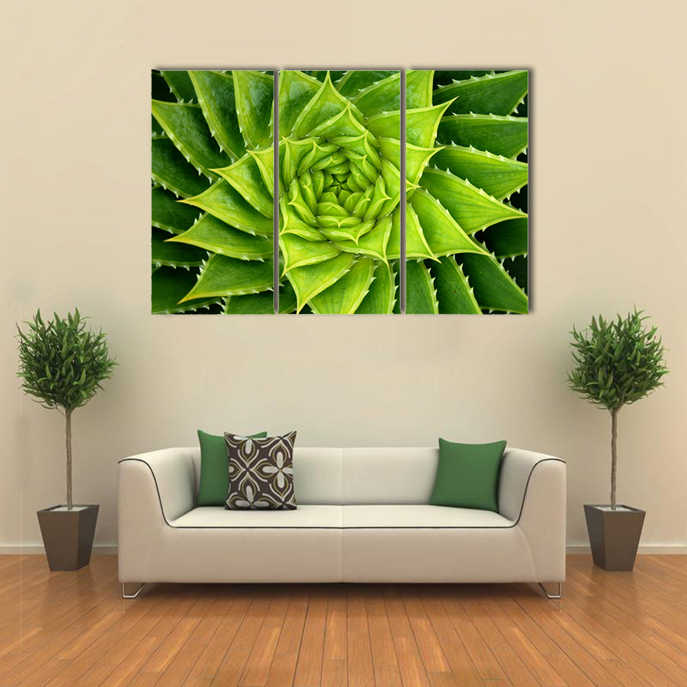 Vivid Green Spiral Aloe Plant Canvas Wall Art