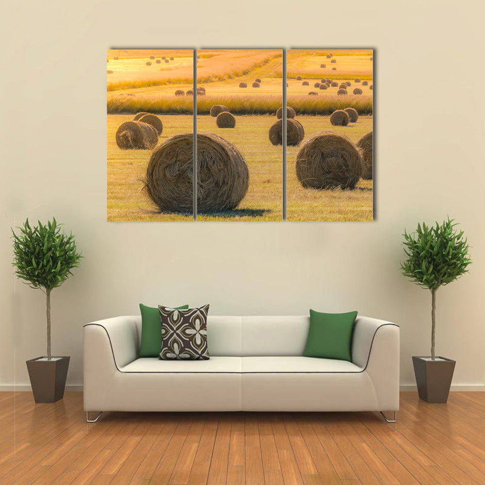 Hay Bales On Golden Field At Sunset Canvas Wall Art