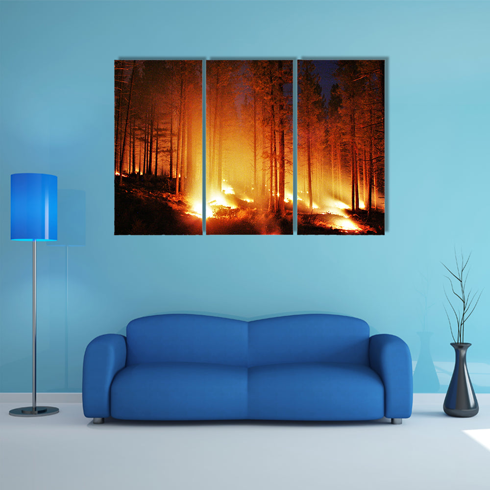 Glowing Forest Fire At Night Canvas Wall Art