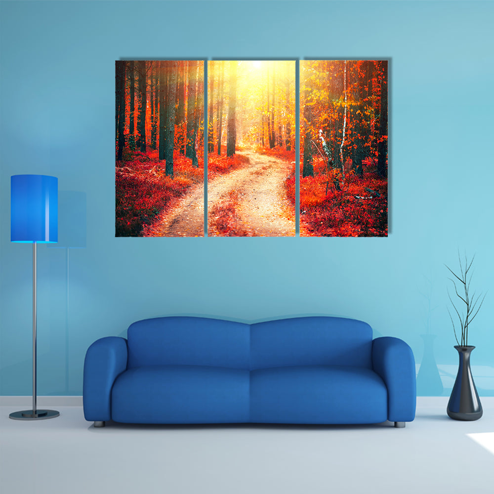 Autumnal Park With Pathway Canvas Wall Art