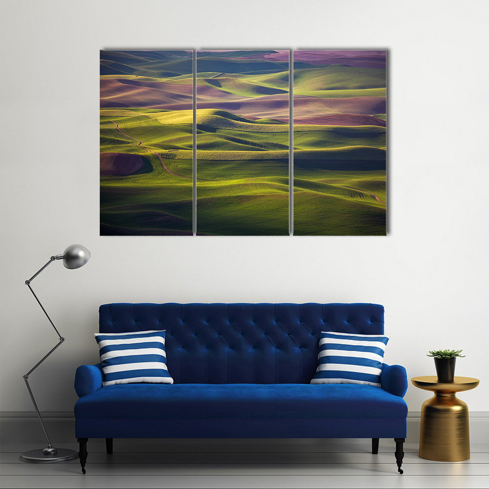 Palouse Rolling Hills at Golden Hour Canvas Wall Art in yellow, green and purple, 3 panel horizontal set hung on a wall