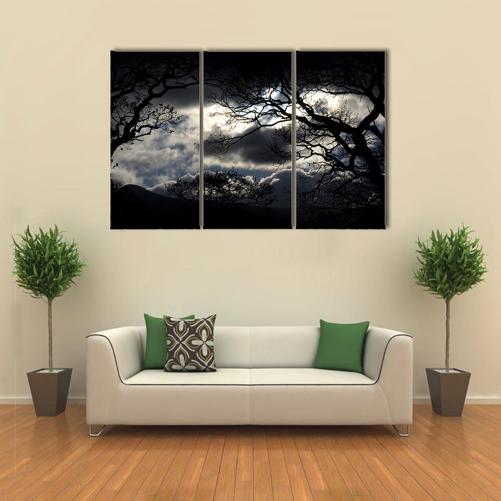 Silhouetted Trees Under Storm Clouds Canvas Wall Art