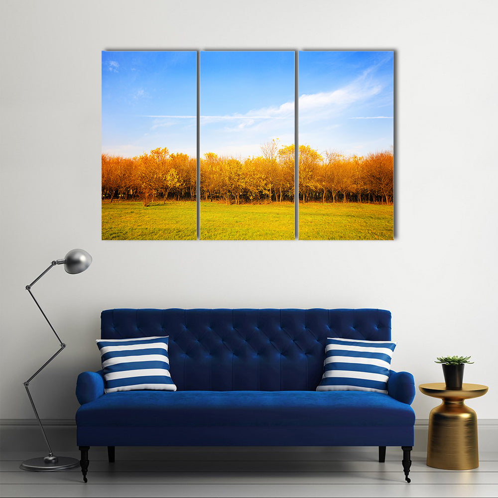 Autumn Meadow with Golden Leaves Canvas Wall Art