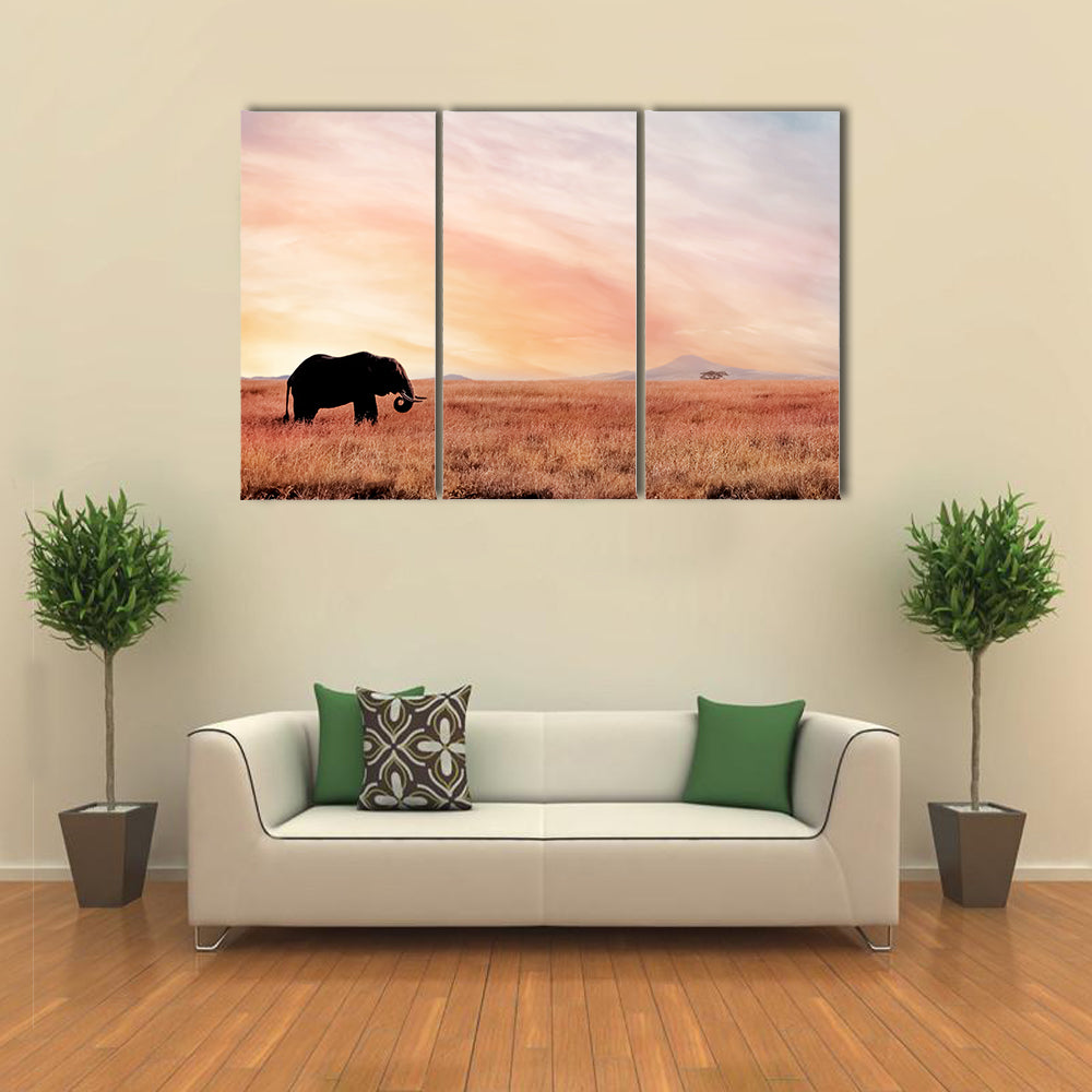 Lonely Elephant In Savannah Sunset Canvas Wall Art