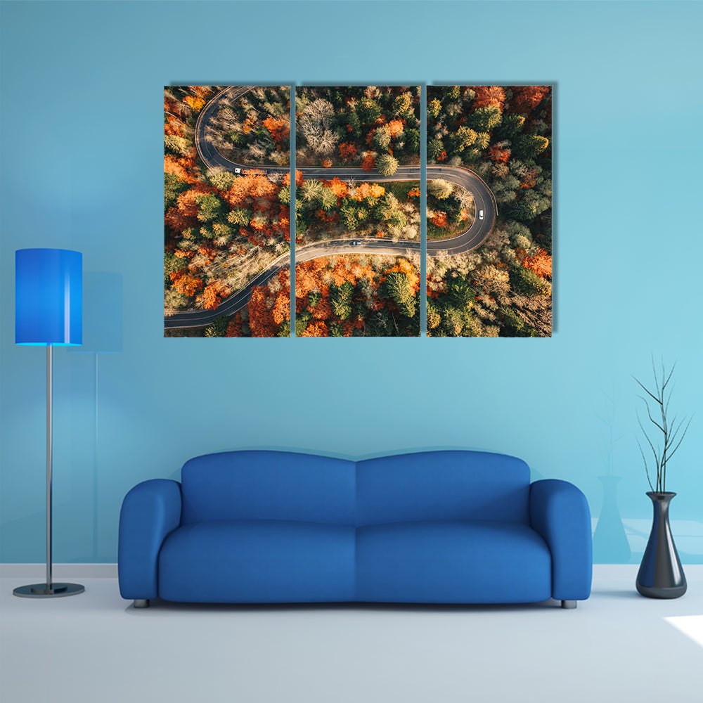 Winding Mountain Road Through Forest In Autumn Canvas Wall Art