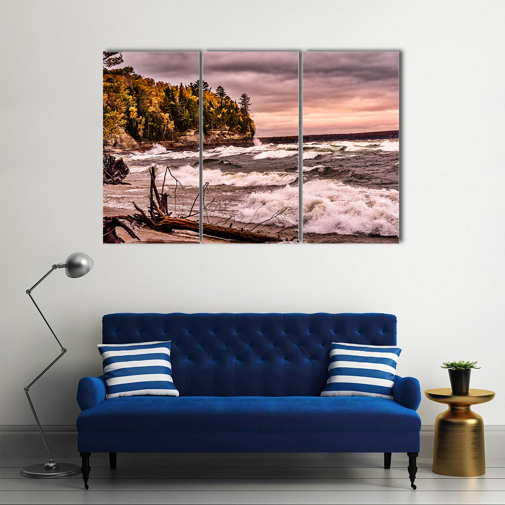 Driftwood on Autumn Lakeshore Canvas Wall Art