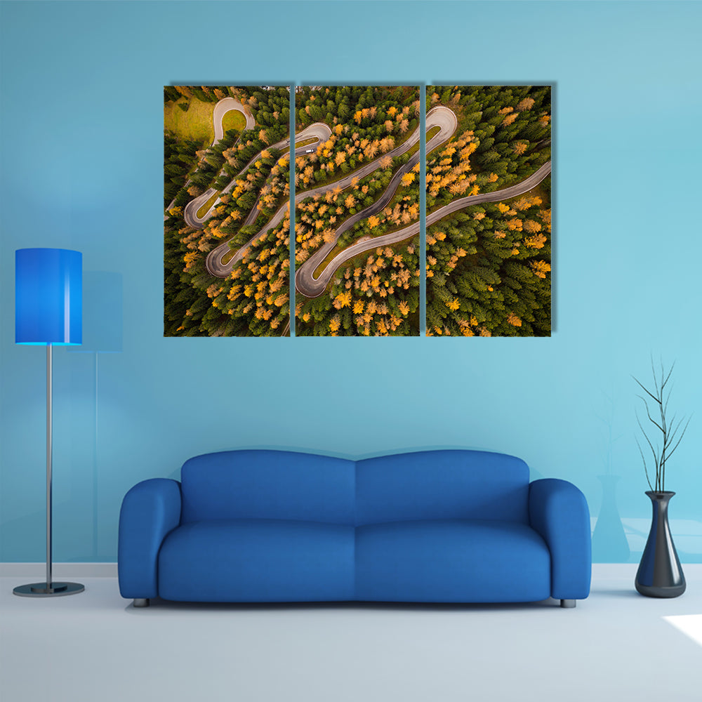 Curvy Road In Autumn Forest Canvas Wall Art