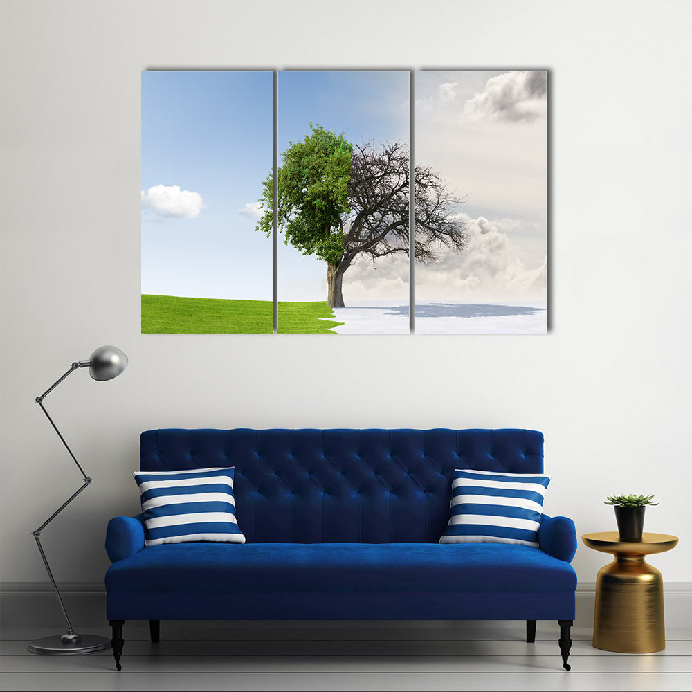 Tree Split Between Summer and Winter Canvas Wall Art