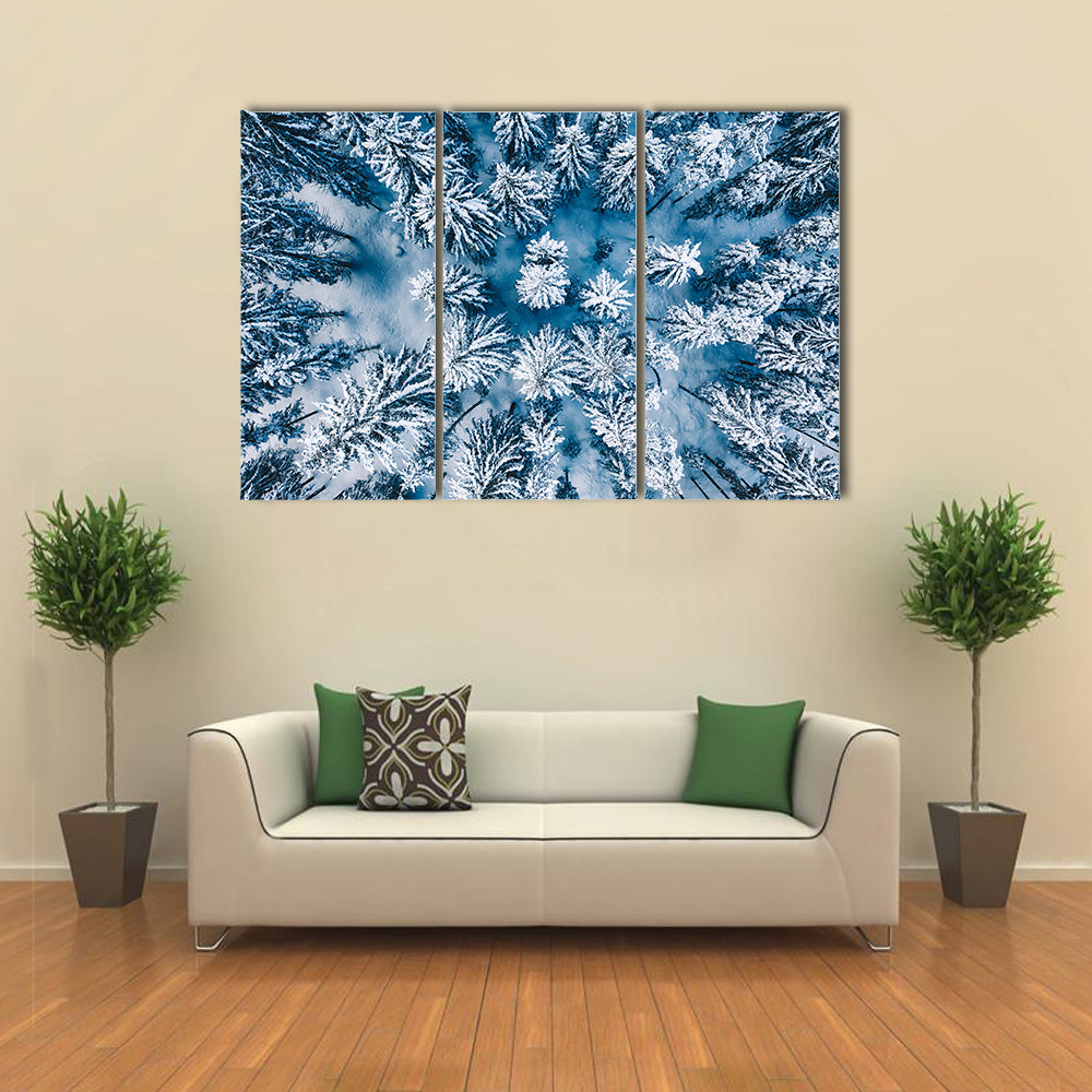 Trees And Snow In Winter Forest Canvas Wall Art
