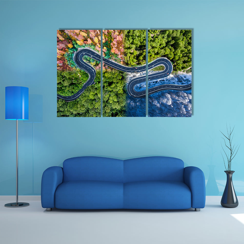 Highway Through The Forest Canvas Wall Art