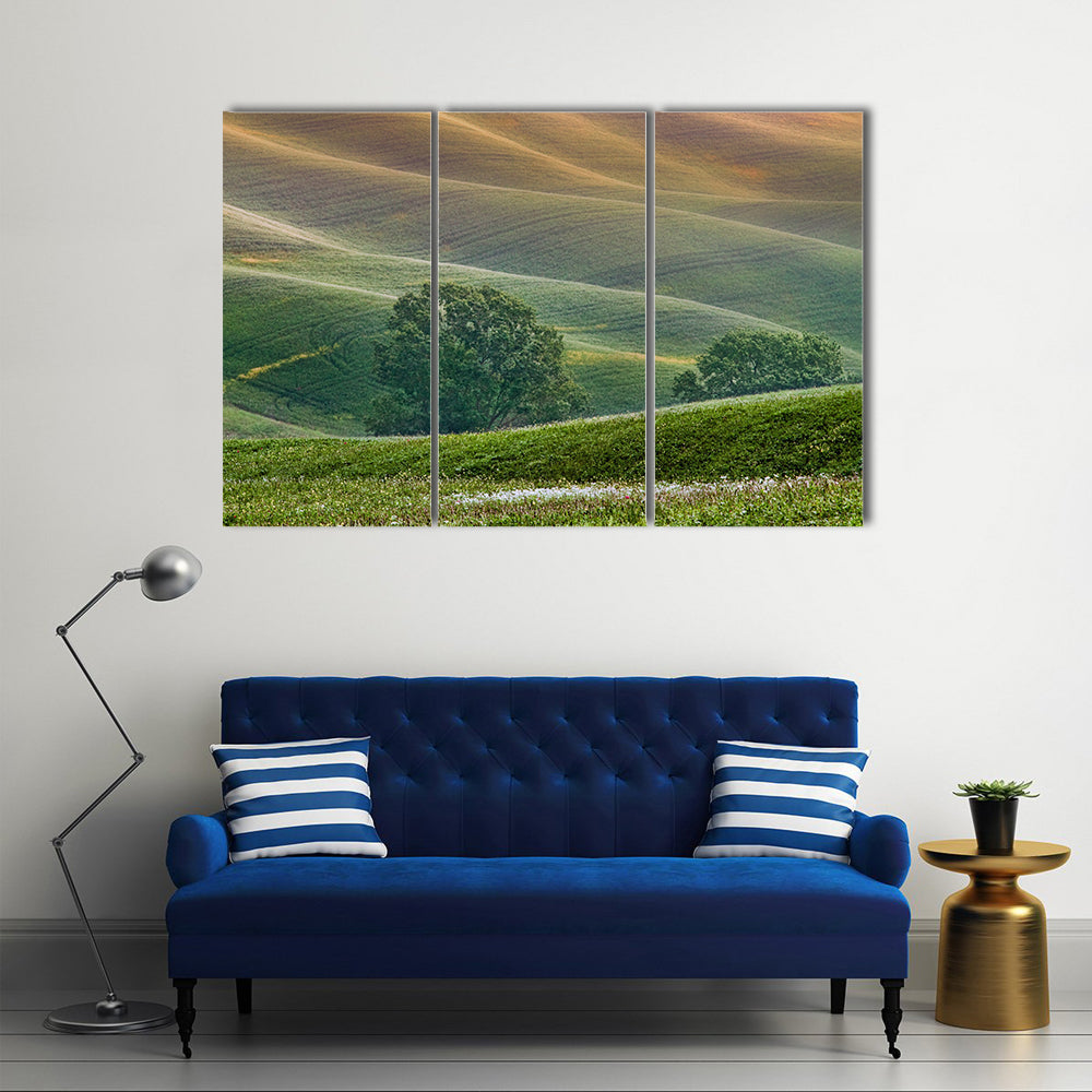 Tuscany Rolling Hills at Golden Hour Canvas Wall Art