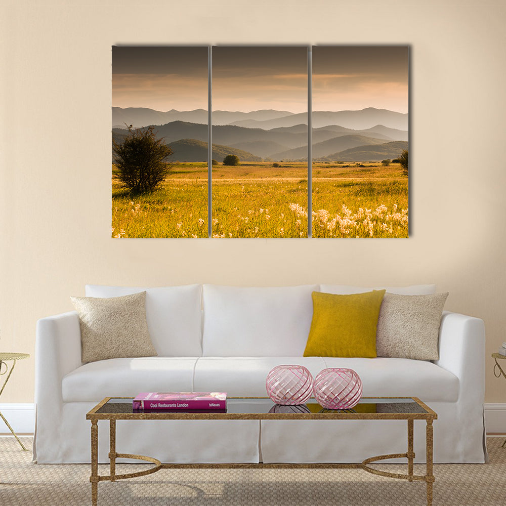 Golden Meadow and Rolling Hills Canvas Wall Art