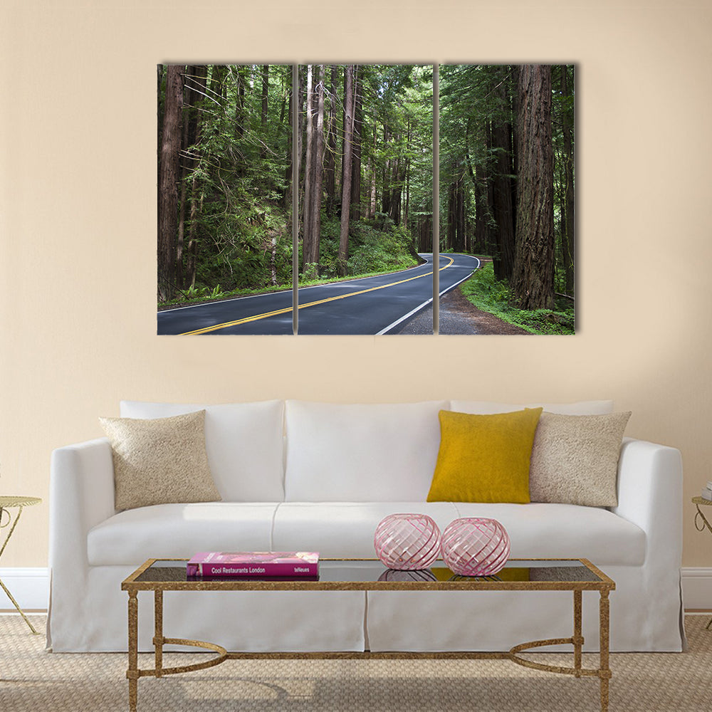 Redwoods Forest In California Canvas Wall Art
